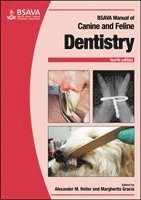 Alexander M. Reiter, Margherita Gracis, Alexander M. Reiter, Margherita Gracis - BSAVA Manual of Canine and Feline Dentistry and Oral Surgery, Häftad