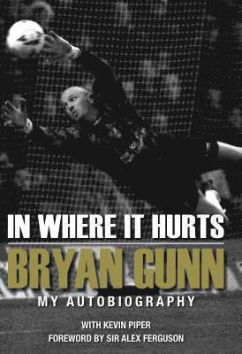 Bryan Gunn - In Where it Hurts, Inbunden