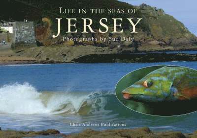 Chris Andrews, Sue Daly - Sealife in Jersey, Inbunden