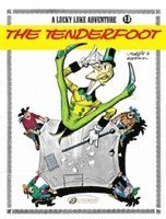 Morris & Goscinny - Lucky Luke 13 - The Tenderfoot, Häftad
