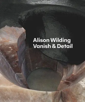 Alison Wilding: Vanish & Detail, Häftad. Tillgänglighet: Lägg i varukorg