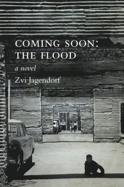 Zvi Jagendorf - Coming Soon: The Flood, E-bok