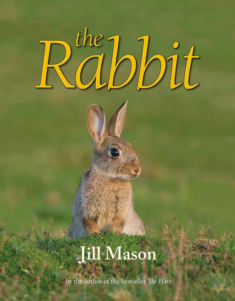 Jill Mason - Rabbit, Inbunden. Tillgänglighet: Lägg i varukorg