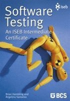Brian Hambling, Angelina Samaroo - Software Testing, Häftad