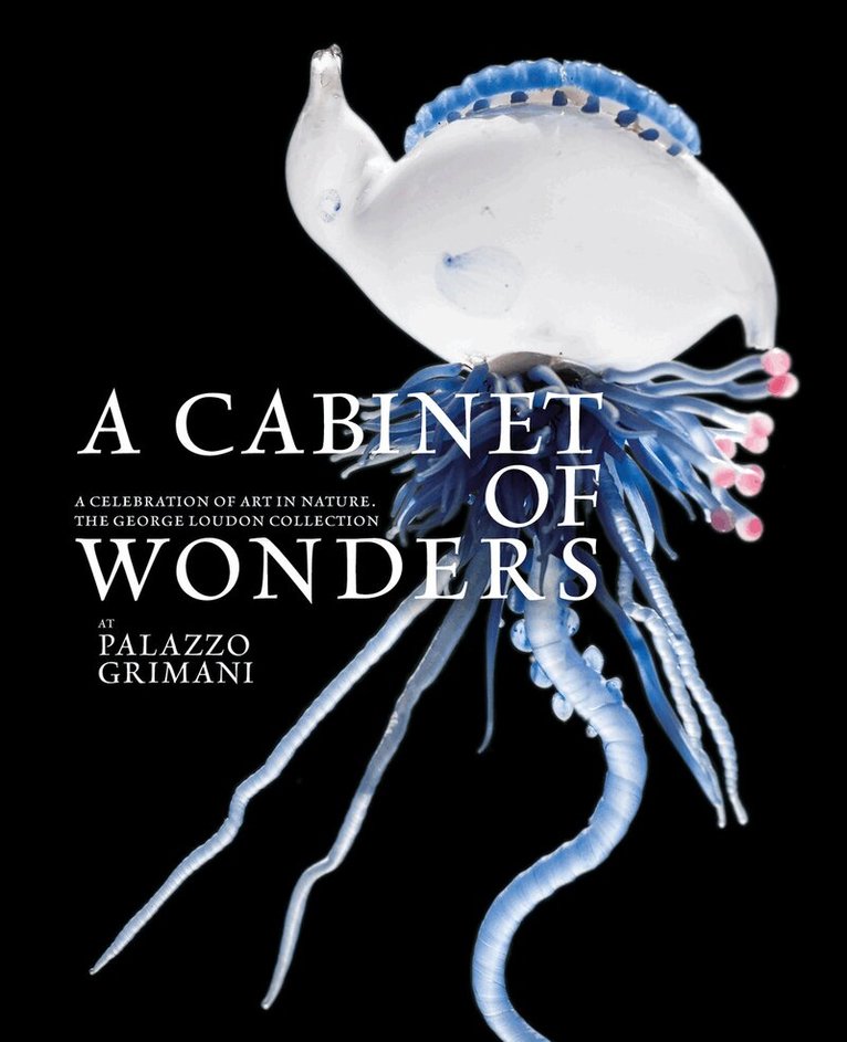 Dr Thierry Morel - Cabinet of Wonders, Inbunden