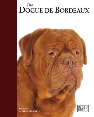 Adrian Bicknell - Dogue De Bordeaux, Inbunden