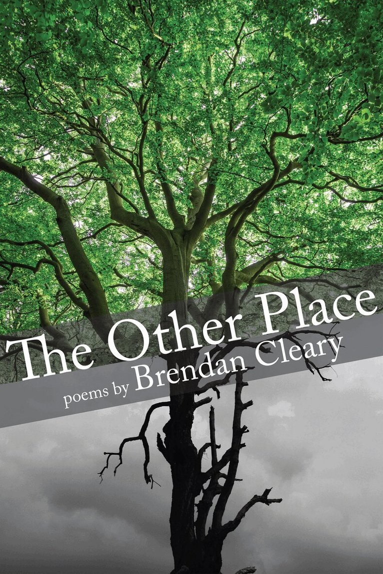 Brendan Cleary - Other Place, Häftad