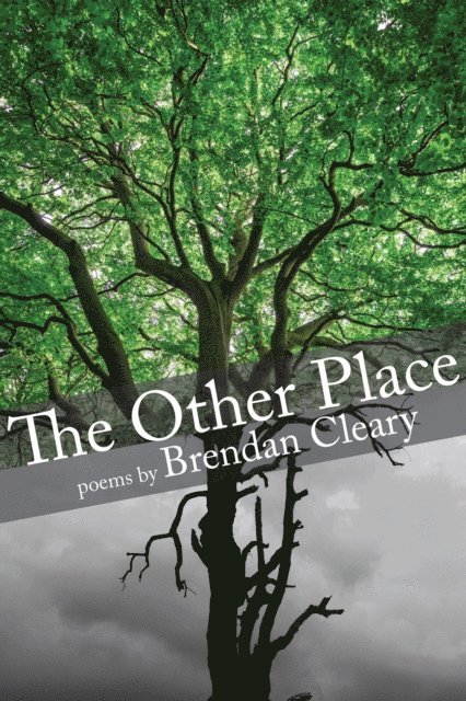 Brendan Cleary - Other Place, E-bok