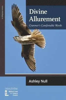 Ashley J Null - Divine Allurement, Häftad. Tillgänglighet: Lägg i varukorg
