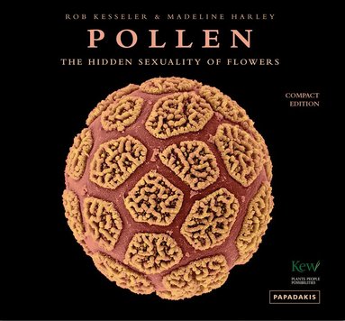 Pollen by Rob Kesseler