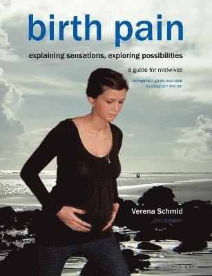 Verena Schmid - Birth Pain: Explaining Sensations, Exploring Possibilities, Häftad