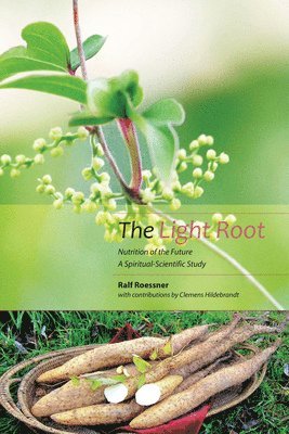 Ralf Roessner, Clemens Hildebrandt, David Macgregor - Light Root, Häftad