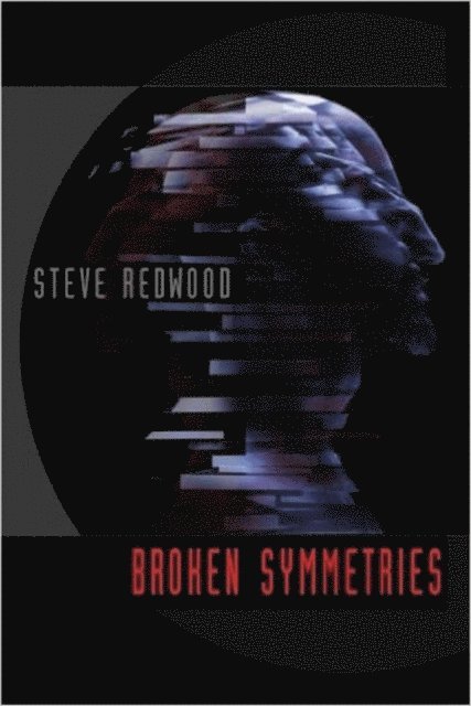 Steve Redwood - Broken Symmetries, E-bok