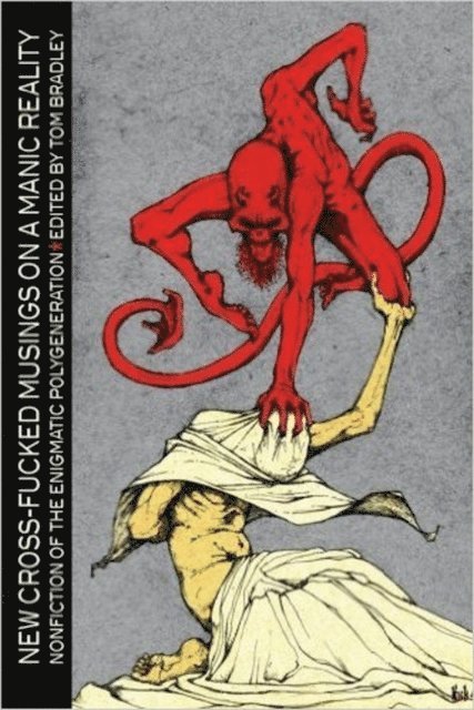Tom Bradley - New Cross-Fucked Musings on a Manic Reality, E-bok