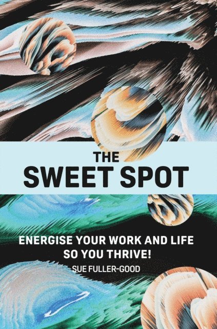 Sue Fuller-Good - Sweet Spot, E-bok