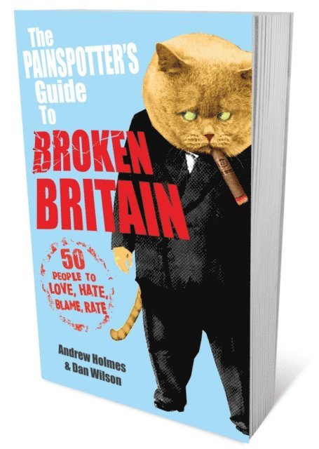 Andrew Holmes - Painspotter's Guide to Broken Britain, E-bok