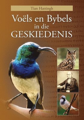 Tian Hattingh - VOËLS EN BYBELS IN DIE GESKIEDENIS (Volkleur Uitgawe), Häftad. Tillgänglighet: Lägg i varukorg