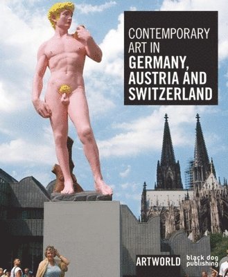 Phoebe Adler, Leanne Hayman - Contemporary Art in Germany, Austria and Switzerland: Artworld, Häftad. Tillgänglighet: Tillfälligt slut