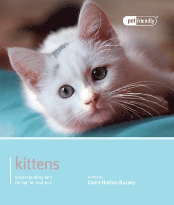 Claire Hurton Bussey - Kitten - Pet Friendly, Häftad