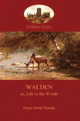 Walden av Henry Thoreau, Henry David Thoreau