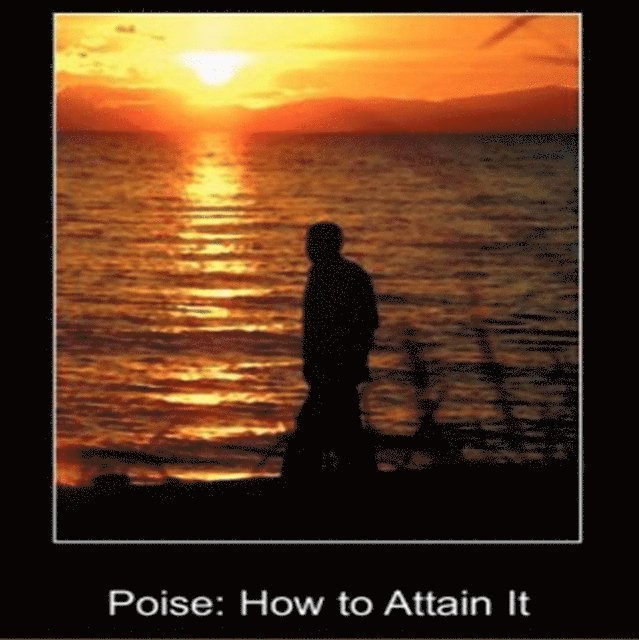 D Stark - Poise How To Attain It, Ljudbok