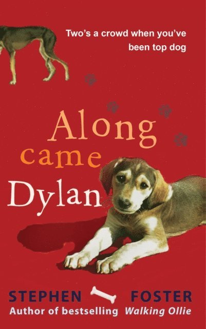 THE ESTATE OF STEPHEN FOSTER, Stephen Foster - Along Came Dylan: Two's a Crowd When You've Been Top Dog, E-bok
