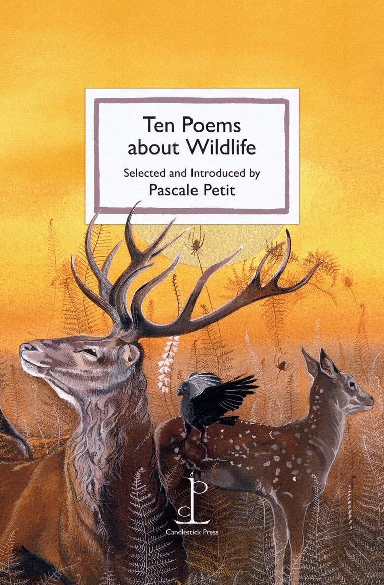 Pascale Petit - Ten Poems about Wildlife, Häftad. Tillgänglighet: Lägg i varukorg