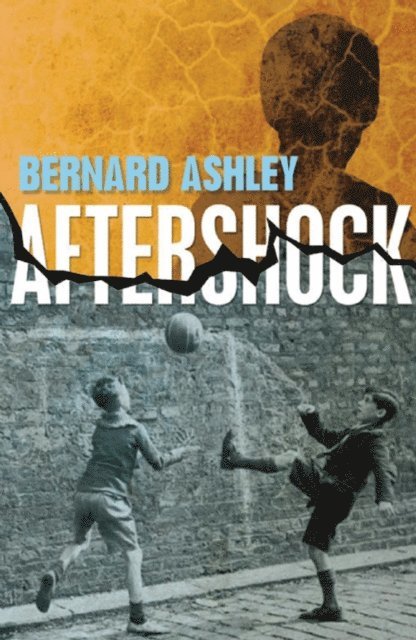 Bernard Ashley - Aftershock, E-bok