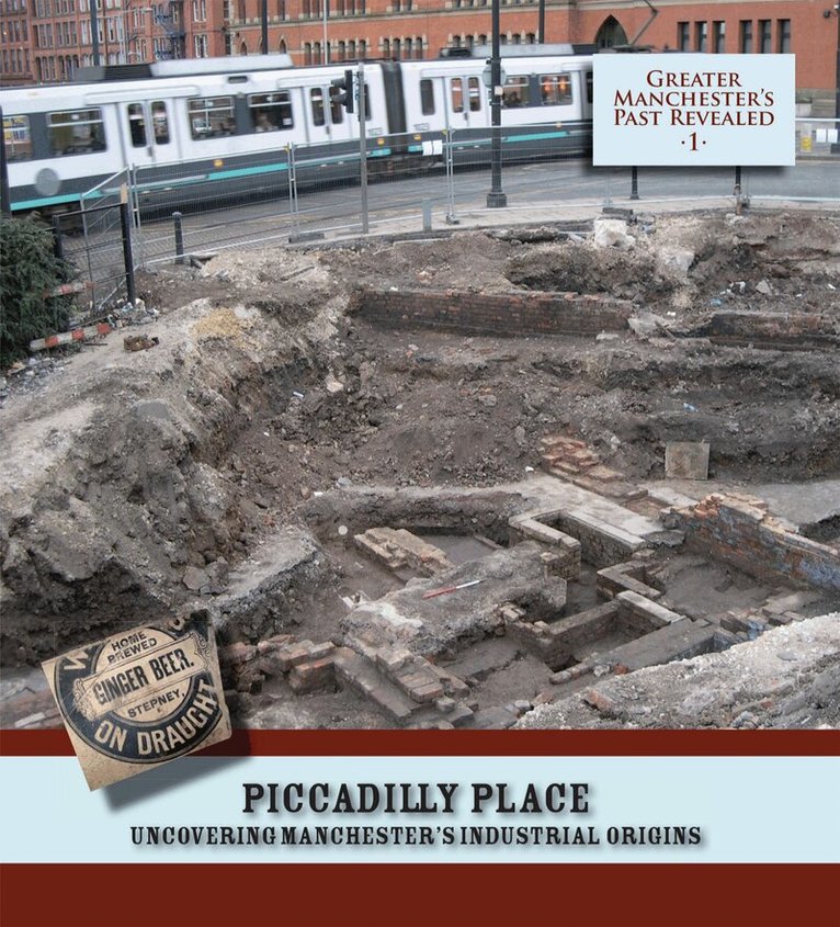 Ian Miller, Chris Wild, Richard Gregory - Piccadilly Place: Uncovering Manchester's Industrial Origins, Häftad