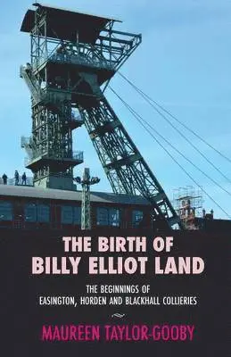 Maureen Taylor-Gooby - Birth of Billy Elliot Land, Häftad. Tillgänglighet: Lägg i varukorg