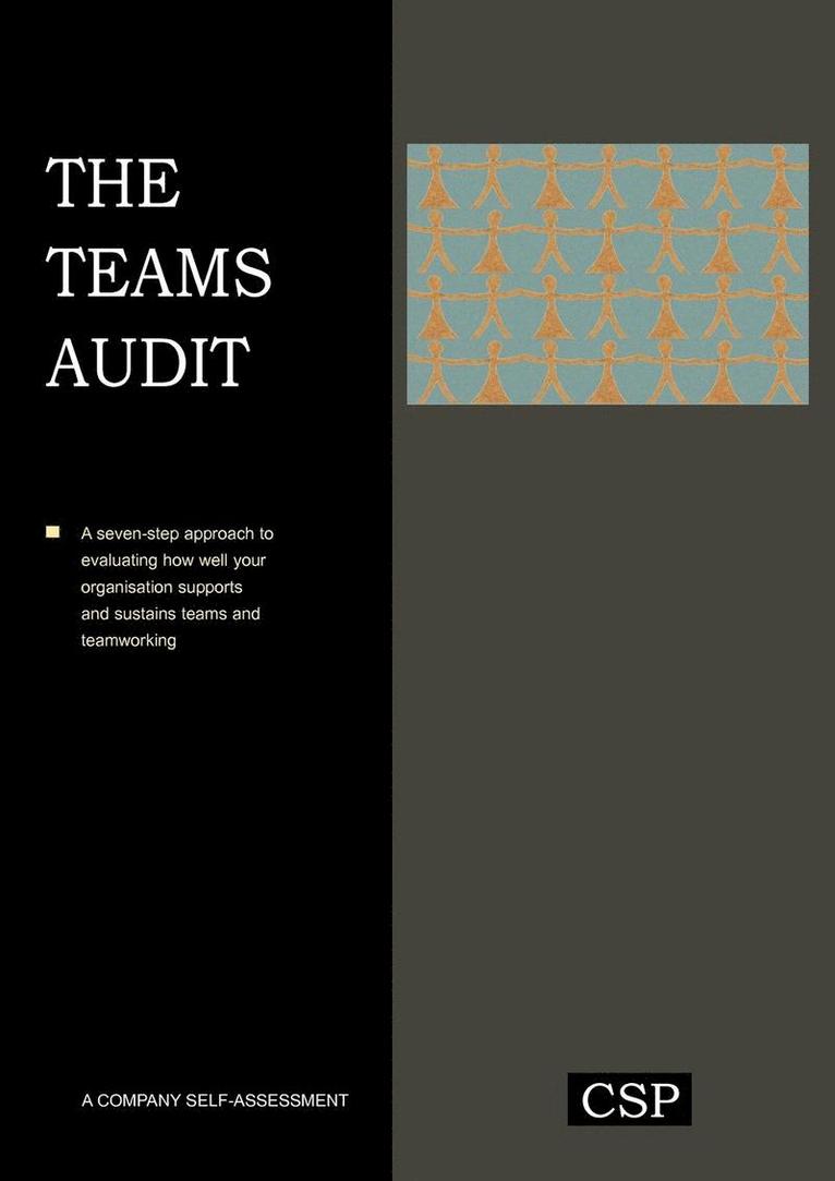 Kevin Barham - Teams Audit, Häftad