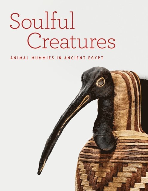 Lisa Bruno, Yekaterina Barbash, Edward Bleiberg - Soulful Creatures, E-bok