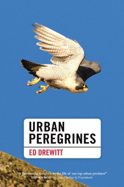 Ed Drewitt - Urban Peregrines, E-bok