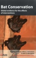 Bat Conservation