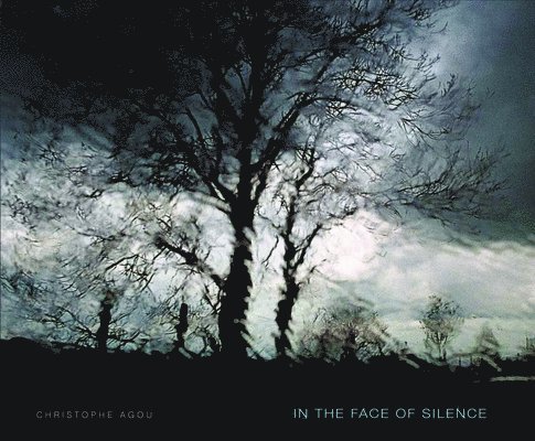 In the Face of Silence, Inbunden