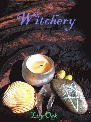Lily Oak - Witchery, Häftad