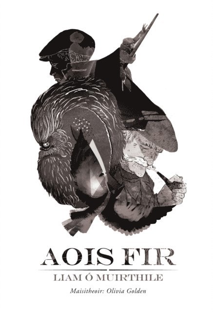 Liam O Muirthile - Aois Fir, E-bok
