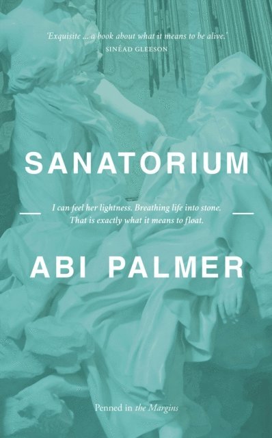 Abi Palmer - Sanatorium, E-bok