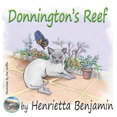 Henrietta Benjamin - Donnington's Reef, Häftad