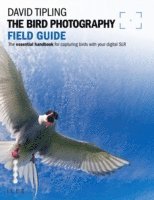 David Tipling - Bird Photography Field Guide, E-bok. Tillgänglighet: Lägg i varukorg