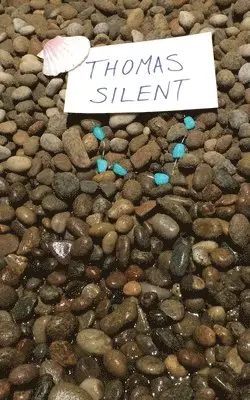 Ben Gribbin - Thomas Silent, Häftad. Tillgänglighet: Lägg i varukorg