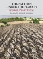 Pattern Under the Plough