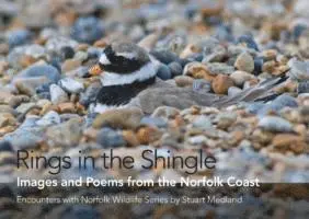 Rings in the Shingle, Inbunden. Tillgänglighet: Lägg i varukorg
