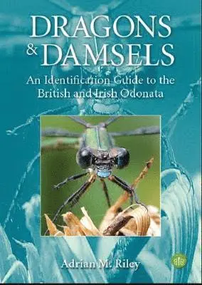 Adrian Riley - Dragons and Damsels, Häftad. Tillgänglighet: Lägg i varukorg