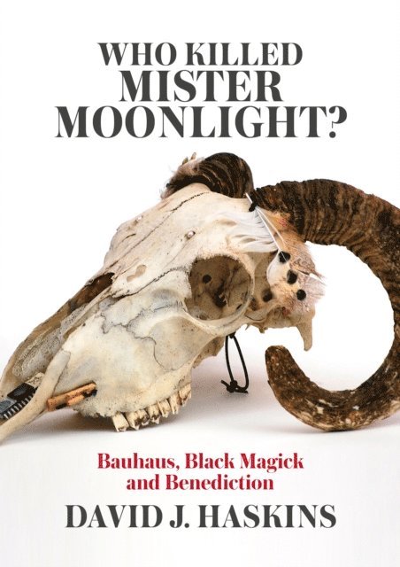 David J. Haskins - Who Killed Mister Moonlight?, E-bok