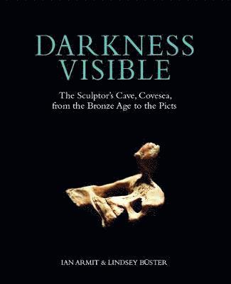 Ian Armit, Lindsey Buster - Darkness Visible, Inbunden