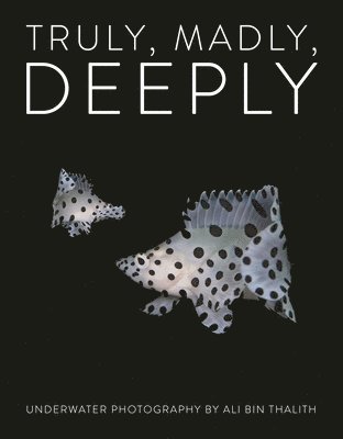 Ali Bin Thalith - Truly, Madly, Deeply, Inbunden