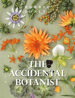 Honey R - Accidental Botanist The, Häftad