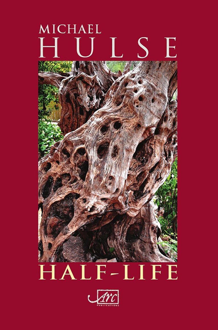 Michael Hulse - Half-Life, Häftad
