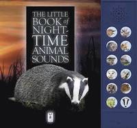 The Little Book of Night-Time Animal Sounds